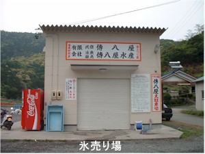 �X�����