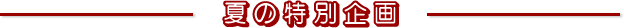 夏の特別企画